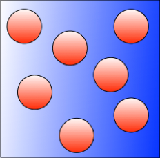 Quorum Sensing Networks