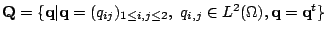 $ {\bf Q}=\{{\bf q}\vert{\bf q}=(q_{ij})_{1\le i,j\le 2},  q_{i,j} \in L^2(\Omega), {\bf q}={\bf q}^t\}$