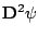 $ {\bf D}^2 \psi$