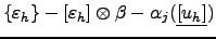 $ \{\varepsilon_h\}-[\varepsilon_h]\otimes\beta \newline -\alpha_j(\underline{[u_h]})$